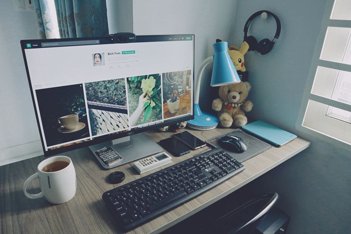 Balancing organic and paid search traffic